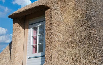 Comford thatch roof disadvantages
